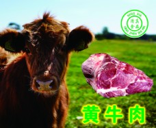 绿色食品黄牛肉图片