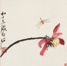 鸟齐白石国画荷花蜻蜓图图片