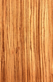木地板木头纹理木纹肌理地板图片
