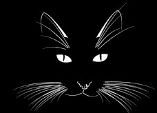 黑色猫图片