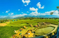 旅行社农业的农业亚洲图片