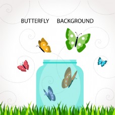 蝴蝶动物图片