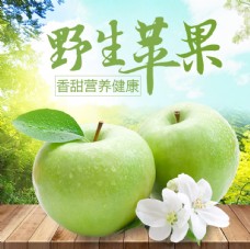 绿色水果绿色新鲜水果苹果图片