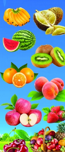 水果展板水果图片