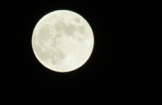 木材月亮图片