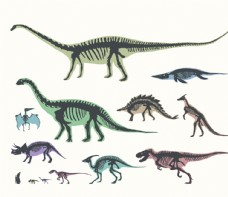 排版设计恐龙动物图案游乐园动物园图片