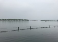 西湖水面图片