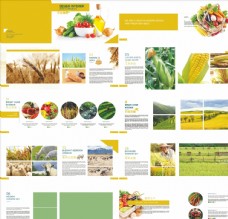 画册折页蔬菜画册图片