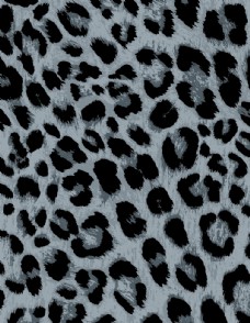 印花素材豹纹大牌灰色豹纹图片