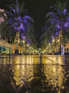 雨后街头图片
