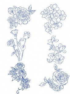 玫瑰花花朵线条图片