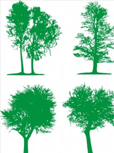 树木树图片