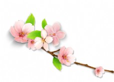 粉色桃花矢量花卉图片