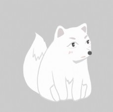 白色的狐狸插画图片