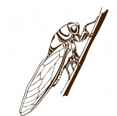 特色手绘卡通知了蝉昆虫动物插画图片
