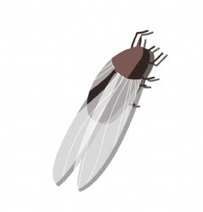 手绘卡通知了蝉昆虫动物插画图片