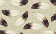 羽毛背景墙图片