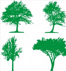 树干树图片