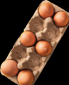 鸡蛋PNG素材图片