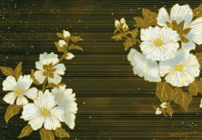 木材烫金花朵图片