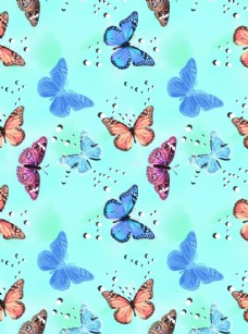 印花素材蝴蝶图片