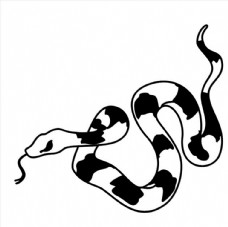 毒蛇图片