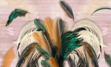 羽毛背景墙图片