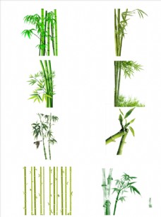 PSD素材竹子图片