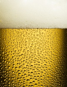 一杯啤酒的特写图片