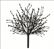 树木抽象树枝图片